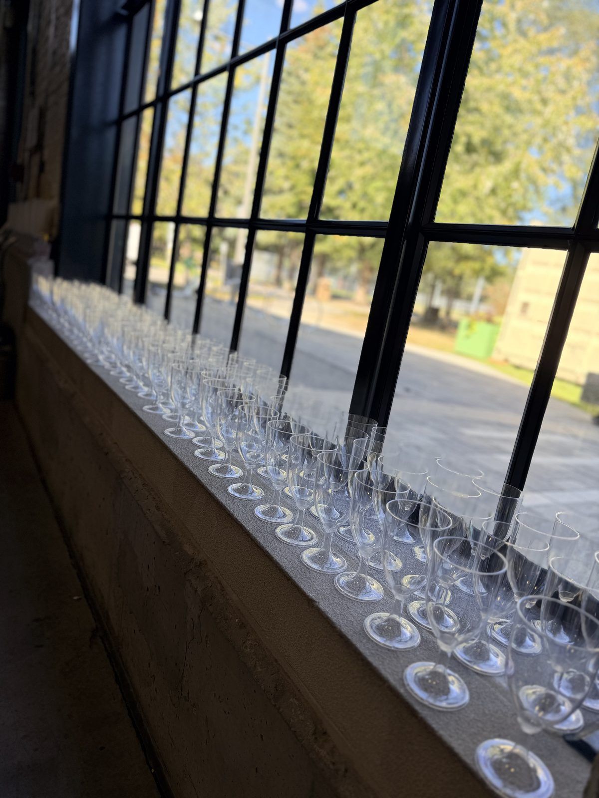 Rows of glasses lined up along a windowsill